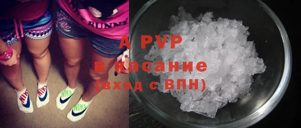 эйфоретик Тайга