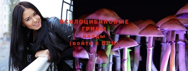 ешки Тавда