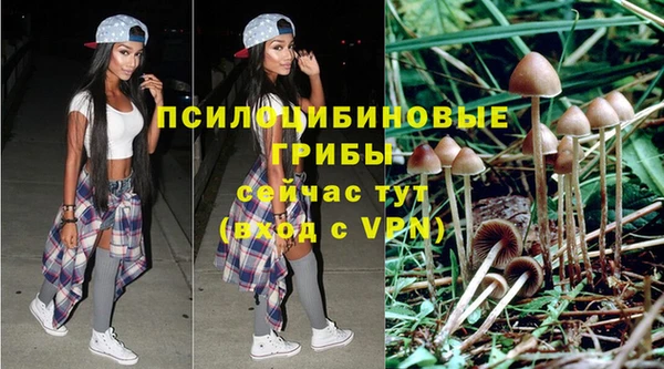 COCAINE Белокуриха