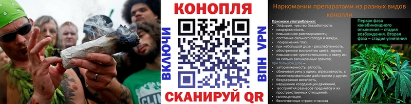 Конопля марихуана Красный Холм